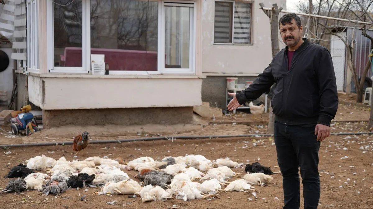 Bağ evinde şoke eden manzara: Görünce muhtarı aradım ne yapabiliriz diye sordum!