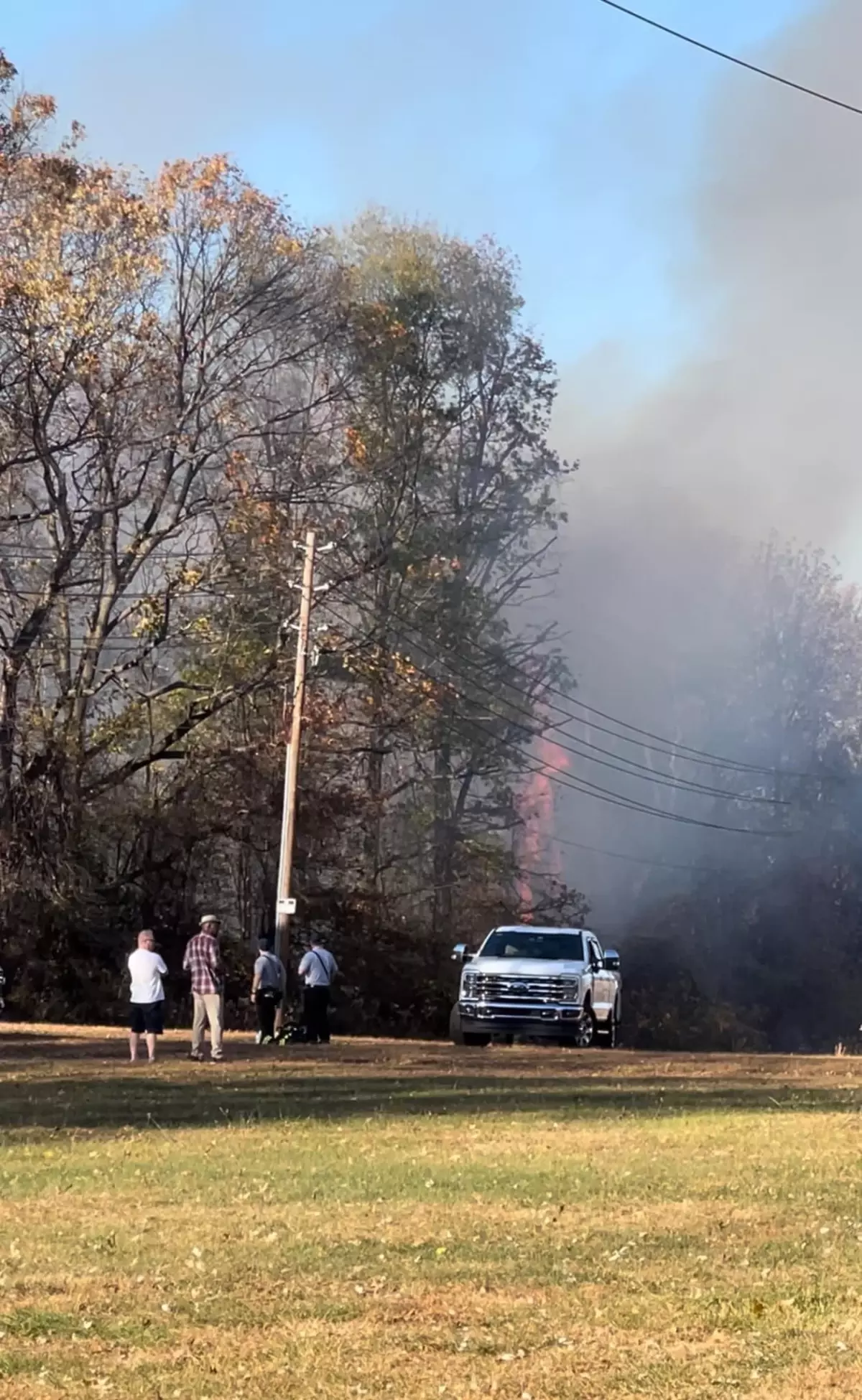 New Jersey’de 14 Yaşındaki Çocuk Orman Yangını Nedeniyle Gözaltında